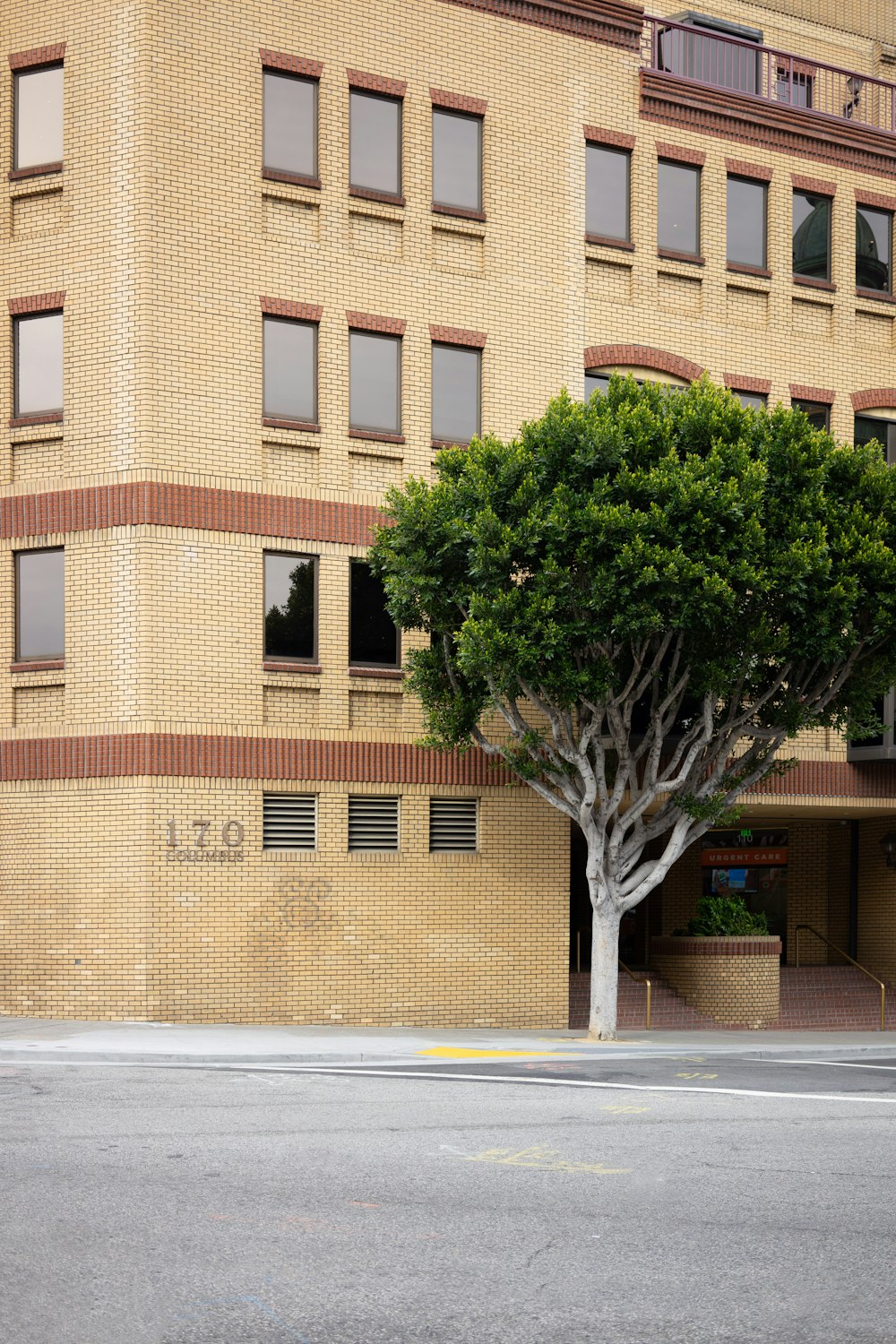 Árbol verde al lado del edificio