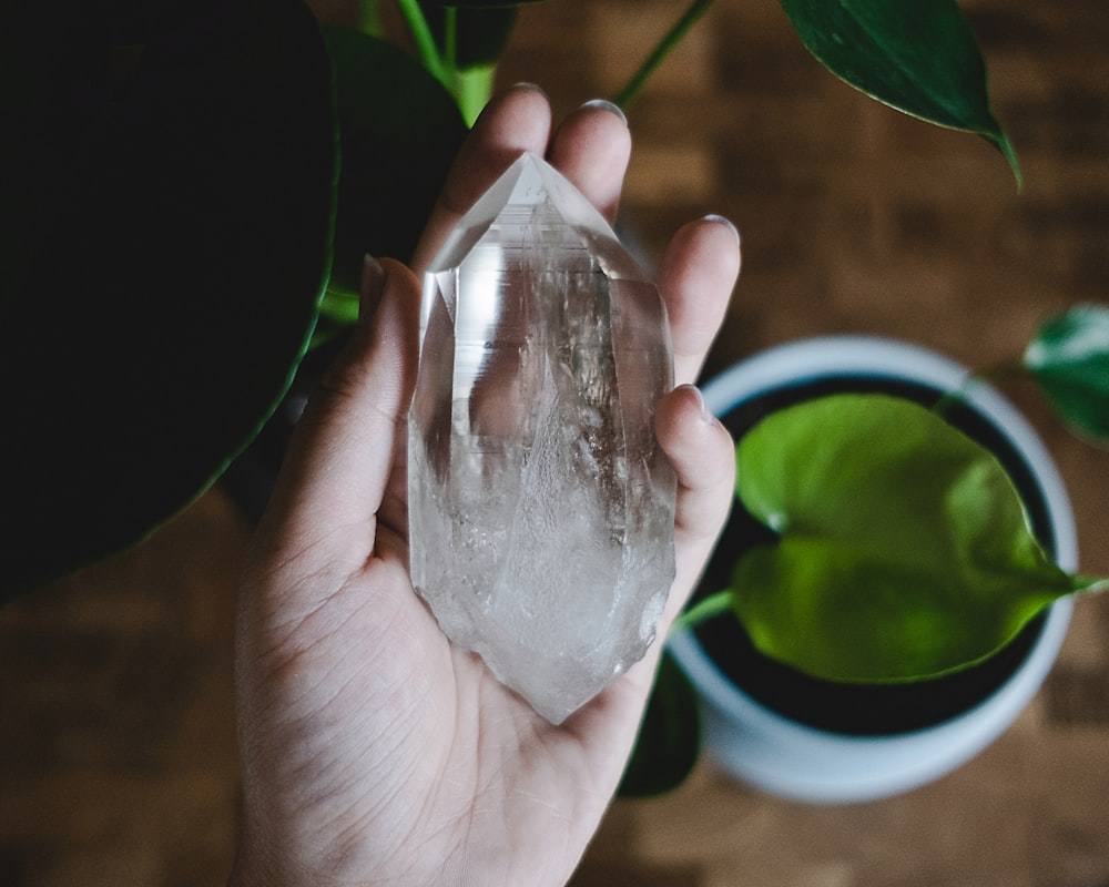 une personne tenant un morceau de cristal à côté d’une plante en pot