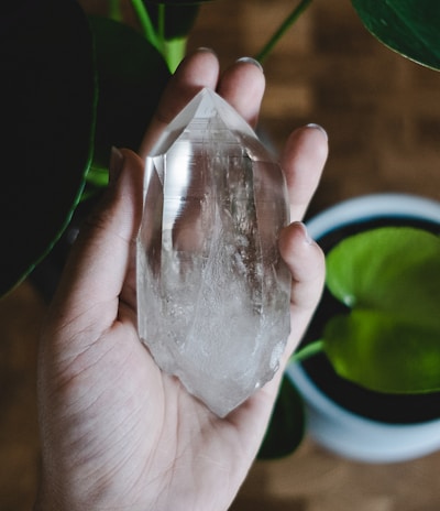 a person holding a piece of crystal next to a potted plant