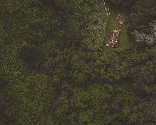 aerial photography of green forest in Guatemala City Guatemala