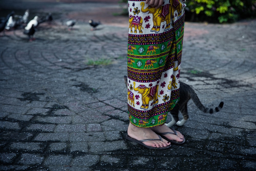 person standing beside cat