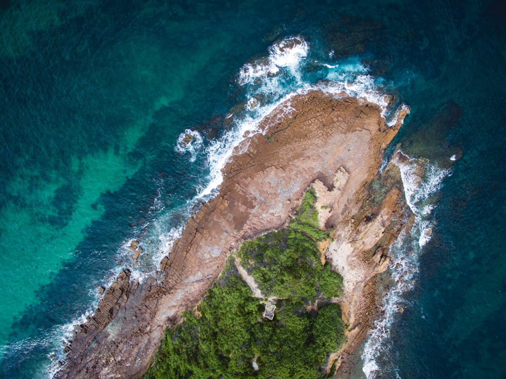 Photographie aérienne d’une île aux arbres verts