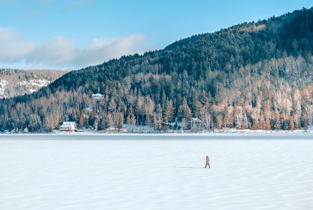 person standing on white sand