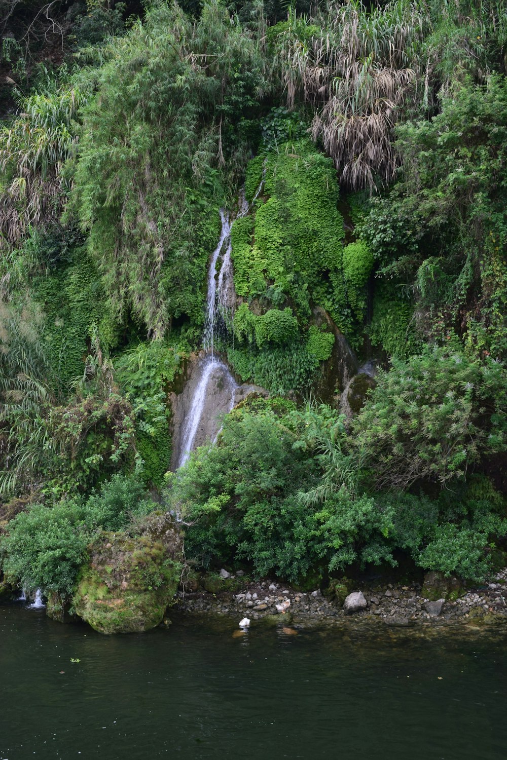 cascate