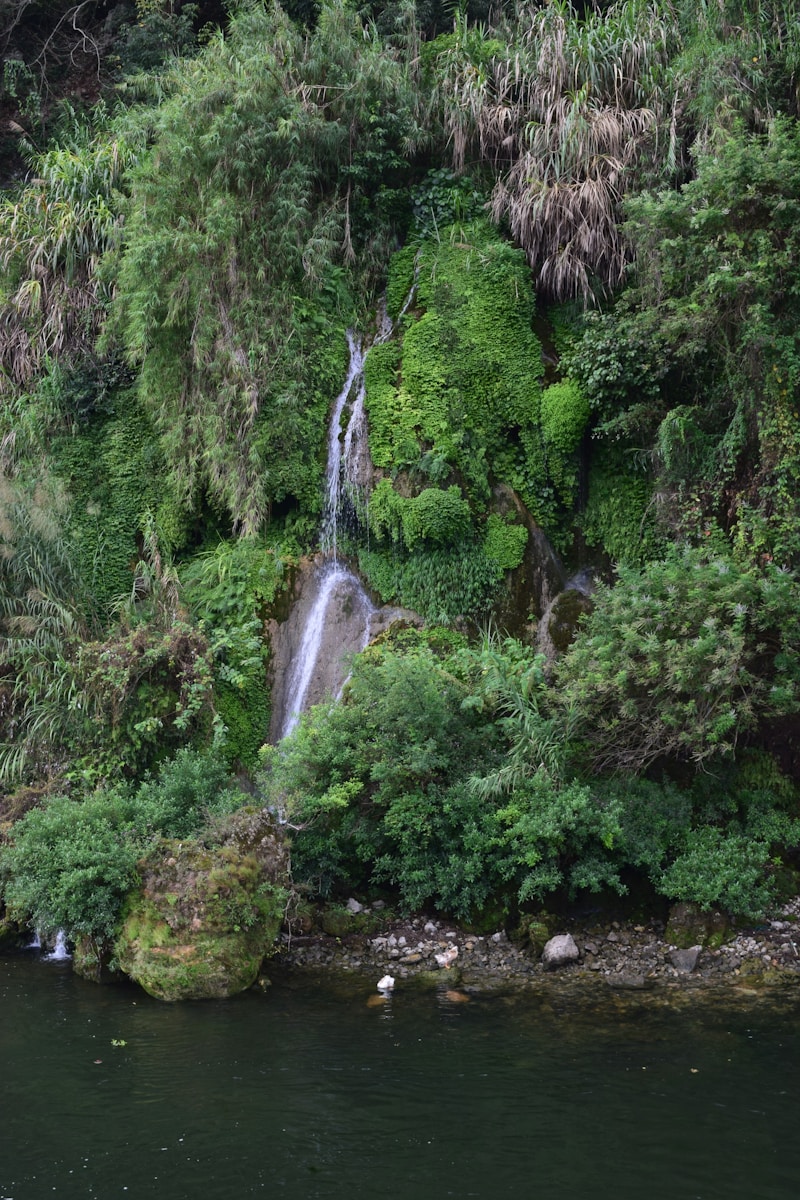 Gudong Waterfall