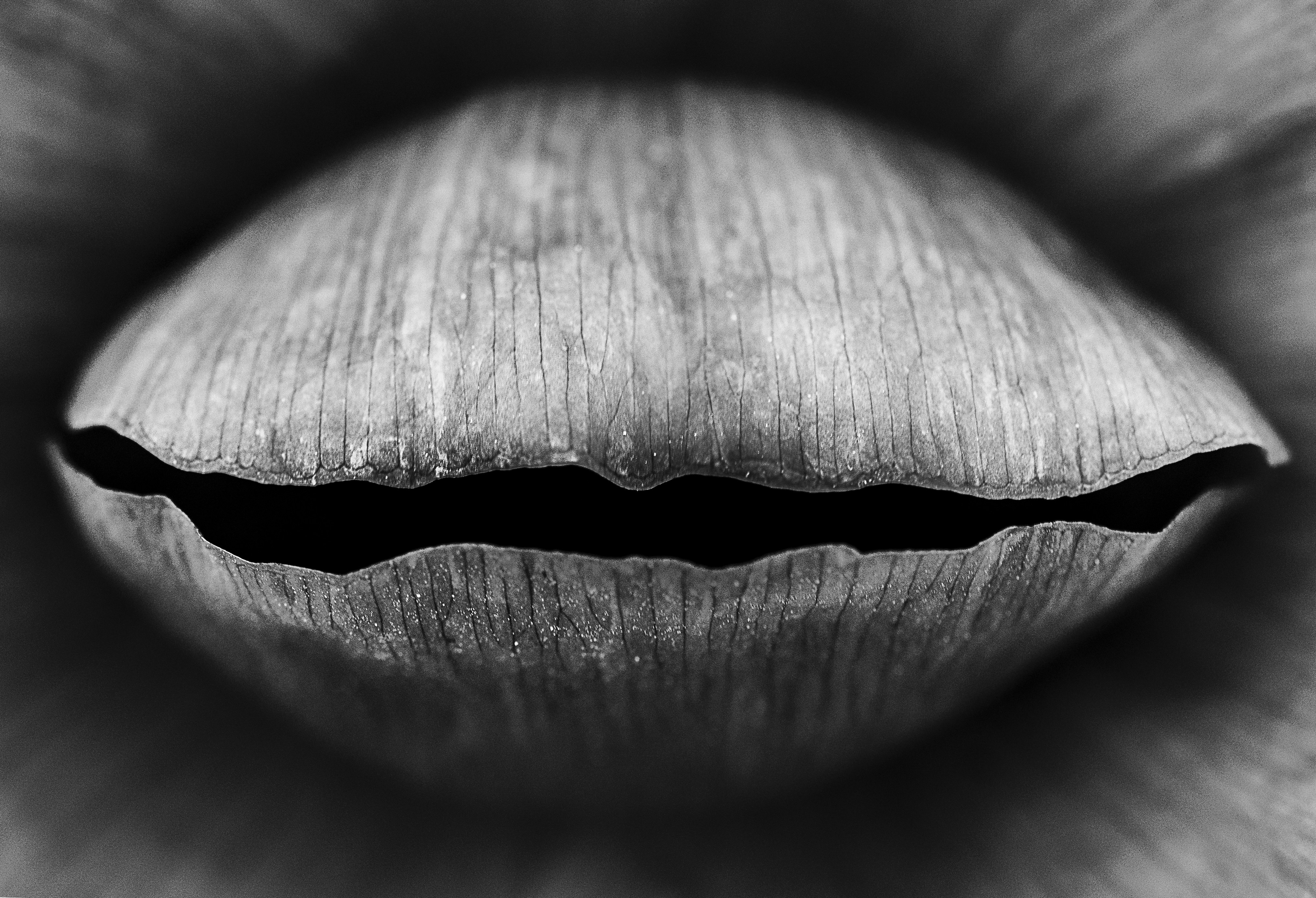 소리의 속삭임, 빛의 춤: 파동에 숨겨진 과학의 향연