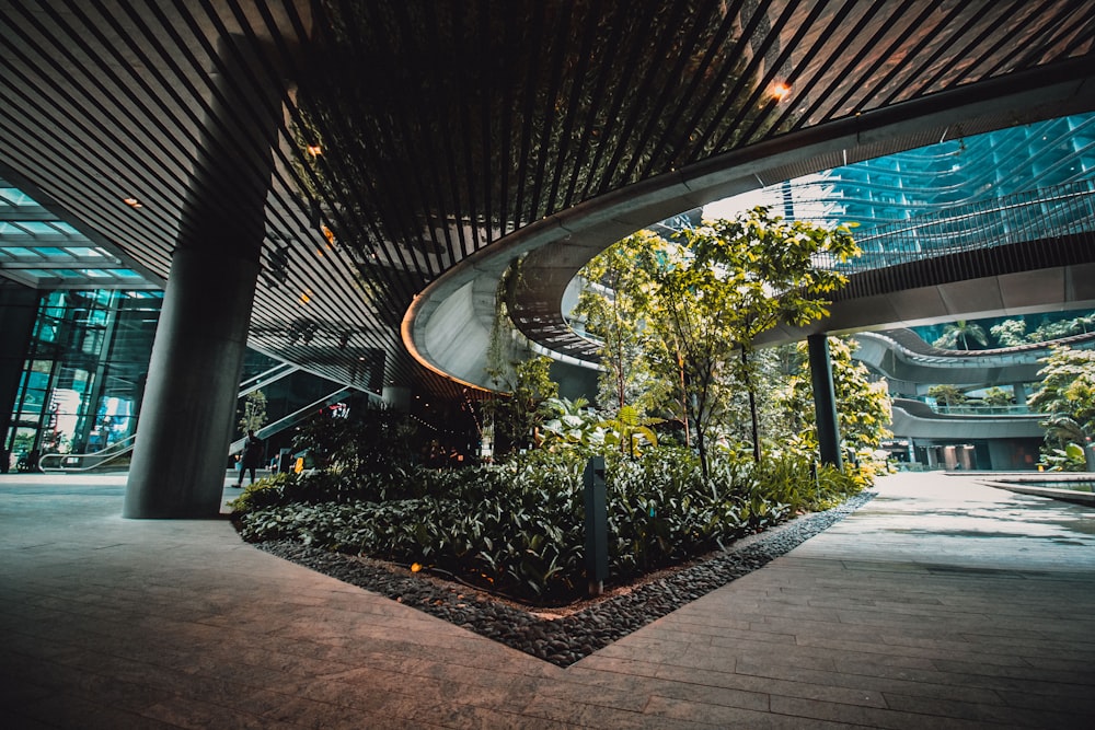 trees under building inside