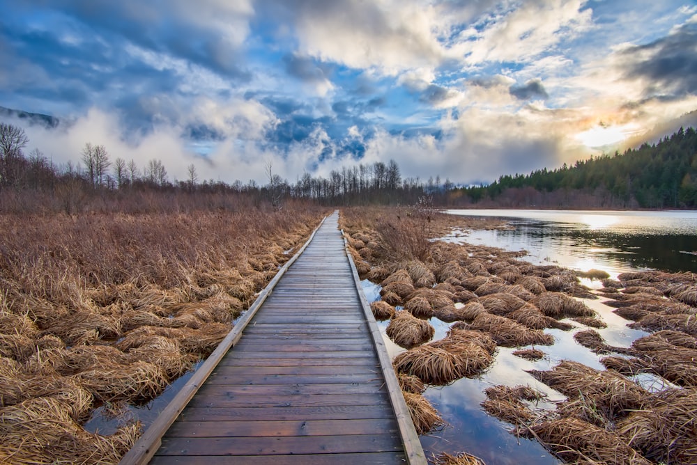 Quai de mer en bois brun