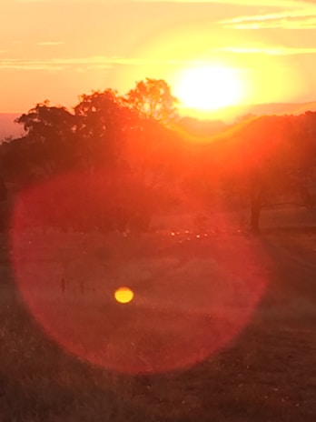 A vibrant sunset over a peaceful natural setting.