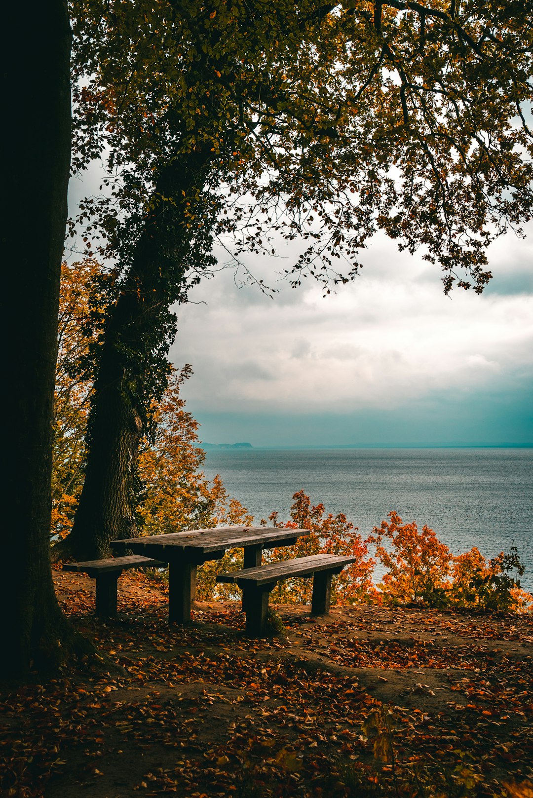 travelers stories about Shore in Aarhus, Denmark