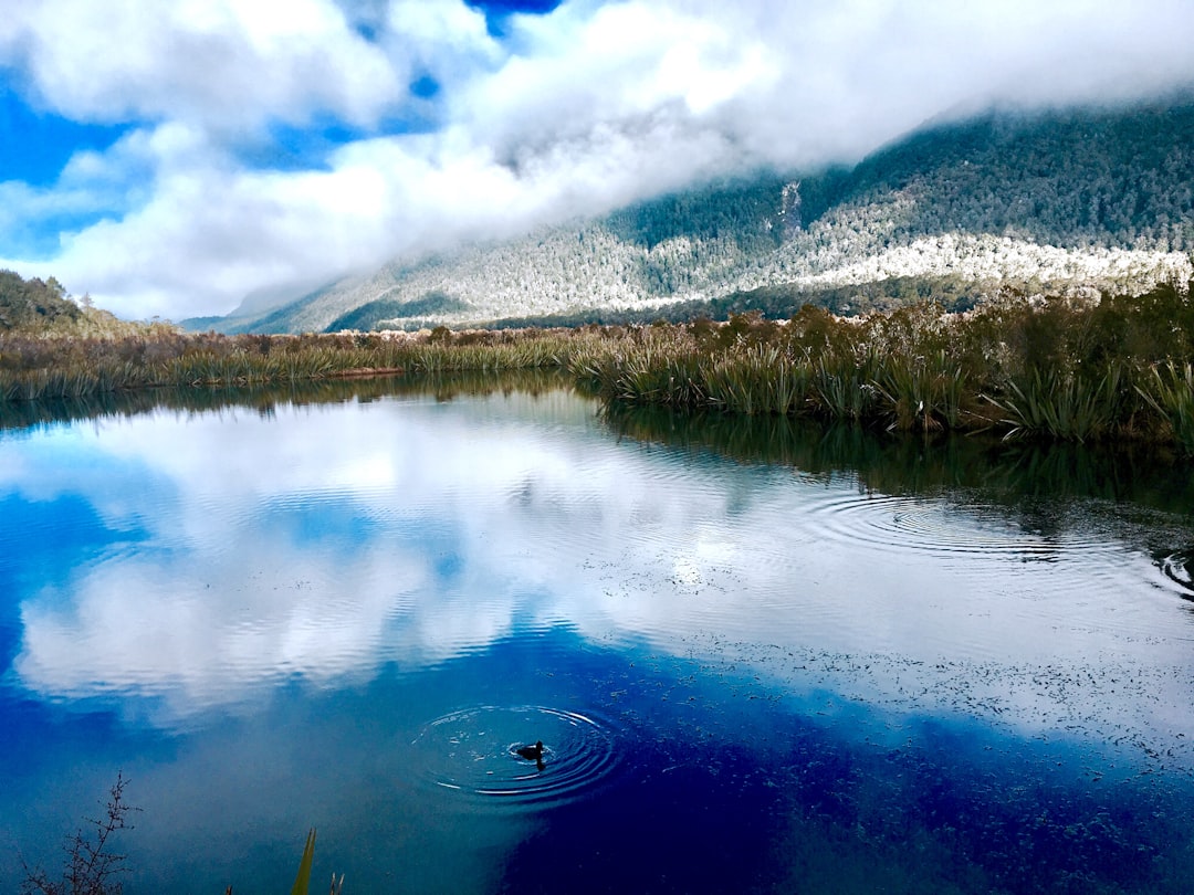 Lake photo spot 6334 Te Anau-Milford Hwy New Zealand