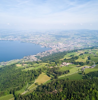 aerial photo of green grass