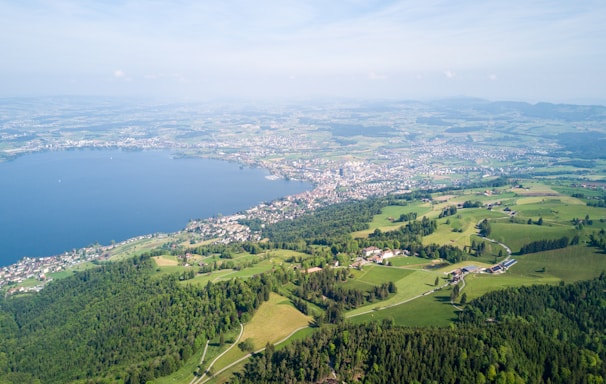 aerial photo of green grass