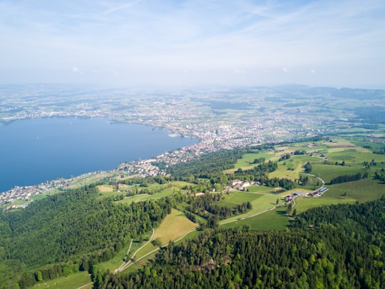 aerial photo of green grass in Zug Switzerland