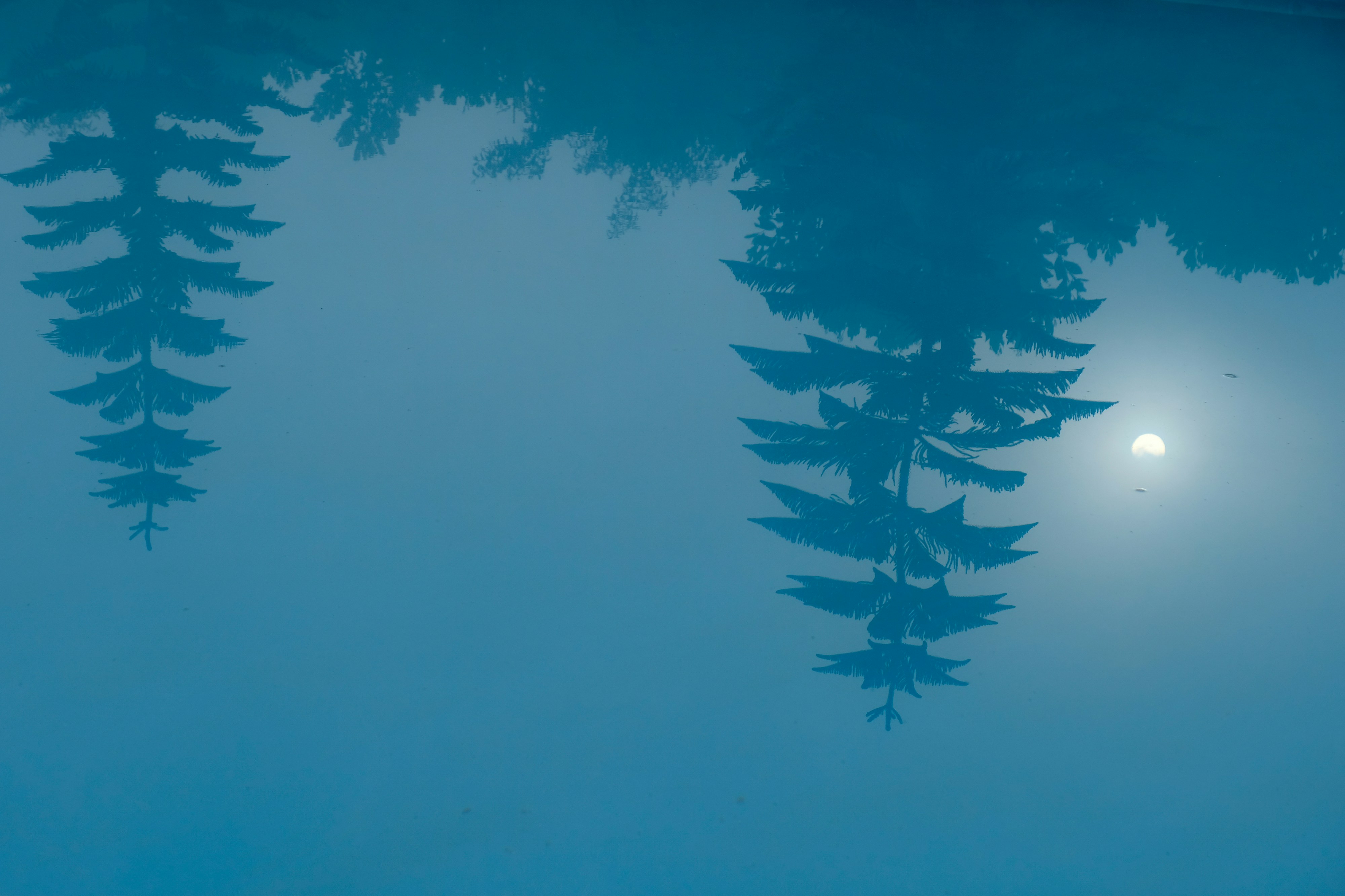 Photo by yogidan2012