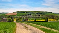 A rural landscape featuring a dirt road leading through lush green fields. In the background, there is a cluster of houses surrounded by fields of various crops, including a distinct yellow patch likely representing rapeseed or mustard fields. Trees and hedges are interspersed throughout the landscape, and the scene is set under a clear blue sky.