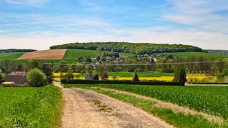 A rural landscape featuring a dirt road leading through lush green fields. In the background, there is a cluster of houses surrounded by fields of various crops, including a distinct yellow patch likely representing rapeseed or mustard fields. Trees and hedges are interspersed throughout the landscape, and the scene is set under a clear blue sky.