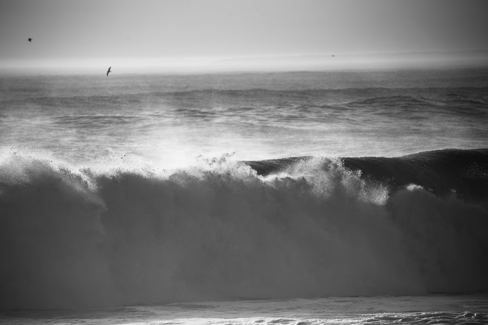 Photographie en niveaux de gris des vagues de la mer