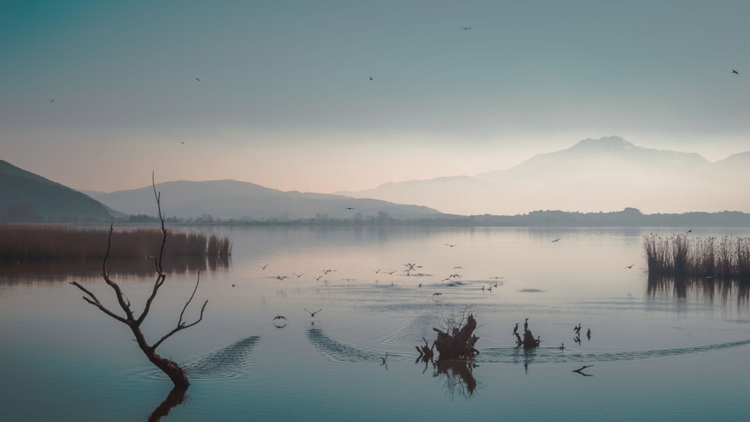 travelers stories about Lake in Ioannina, Greece