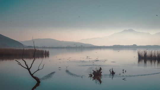 calm body of water with mist mountain in Ioannina Greece