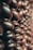 A close-up view of intricately carved wooden balusters, showcasing their symmetrical pattern and smooth texture. The lighting emphasizes the natural grains and rich tones of the wood, creating a warm and inviting atmosphere.