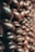 A close-up view of intricately carved wooden balusters, showcasing their symmetrical pattern and smooth texture. The lighting emphasizes the natural grains and rich tones of the wood, creating a warm and inviting atmosphere.