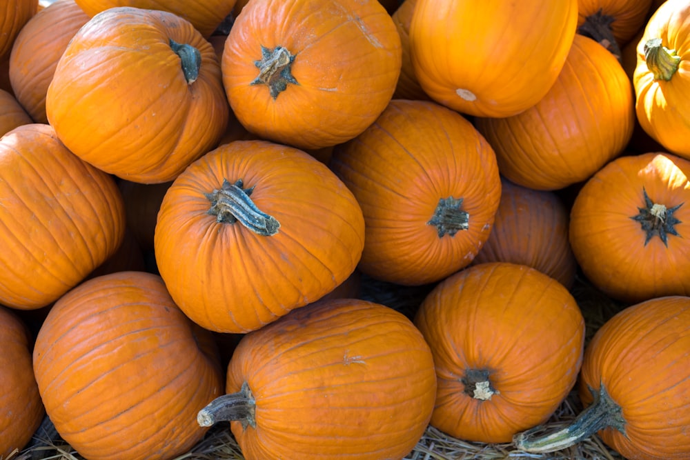 pile of orange pumpkins