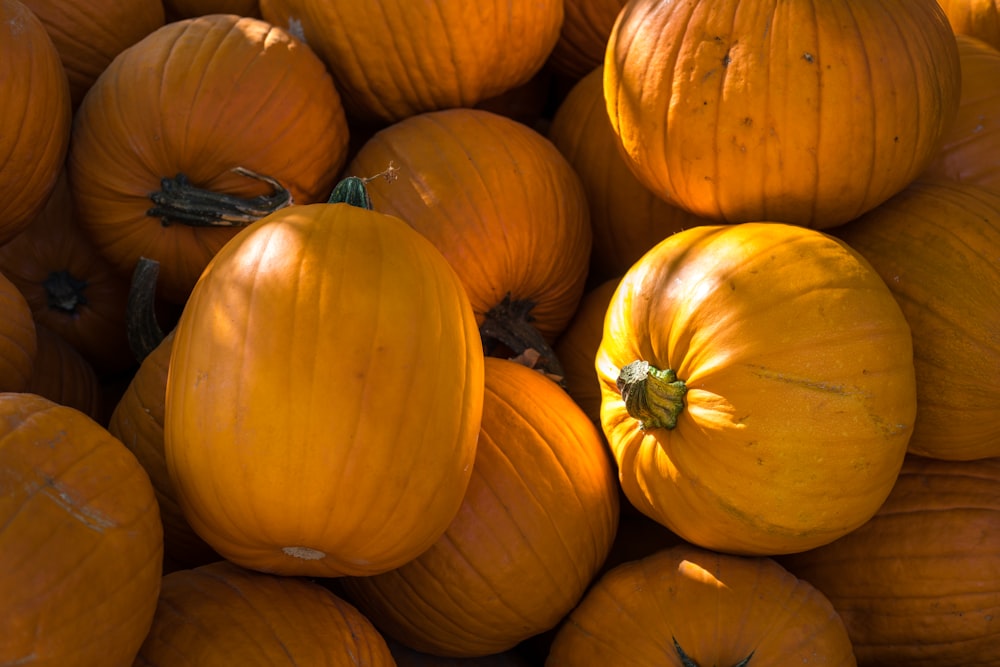 pile of squashes