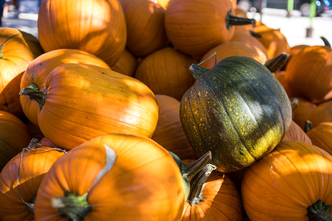 pumpkin lot