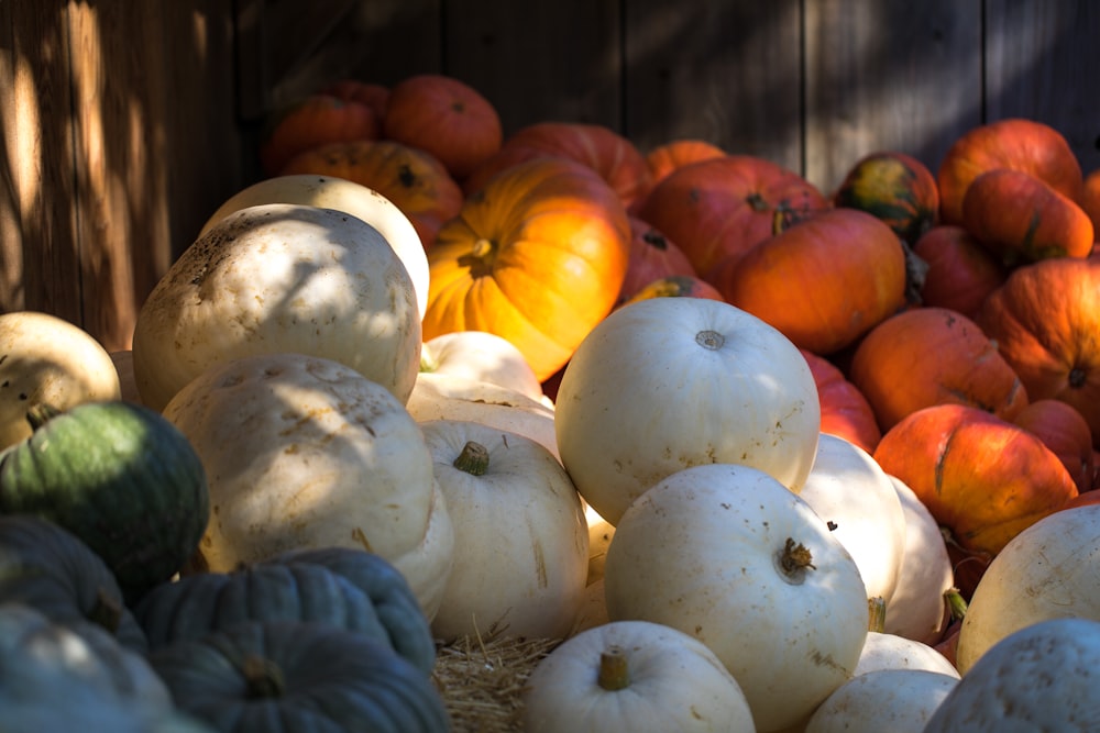 pile of assorted-varieties of pumpkins