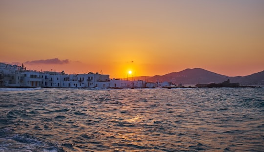 Naousa things to do in Naxos