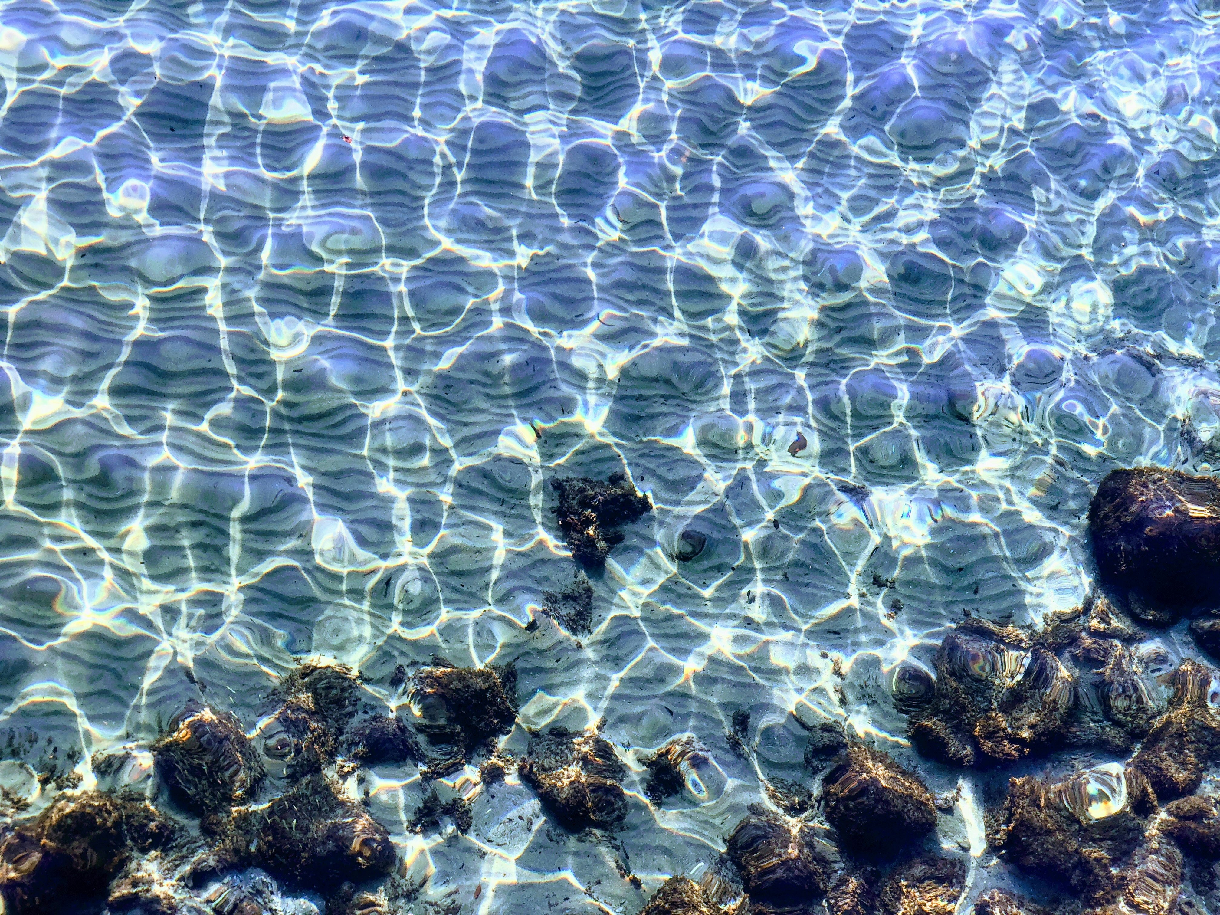 aerial photography of crystal clear water with rocks during daytime