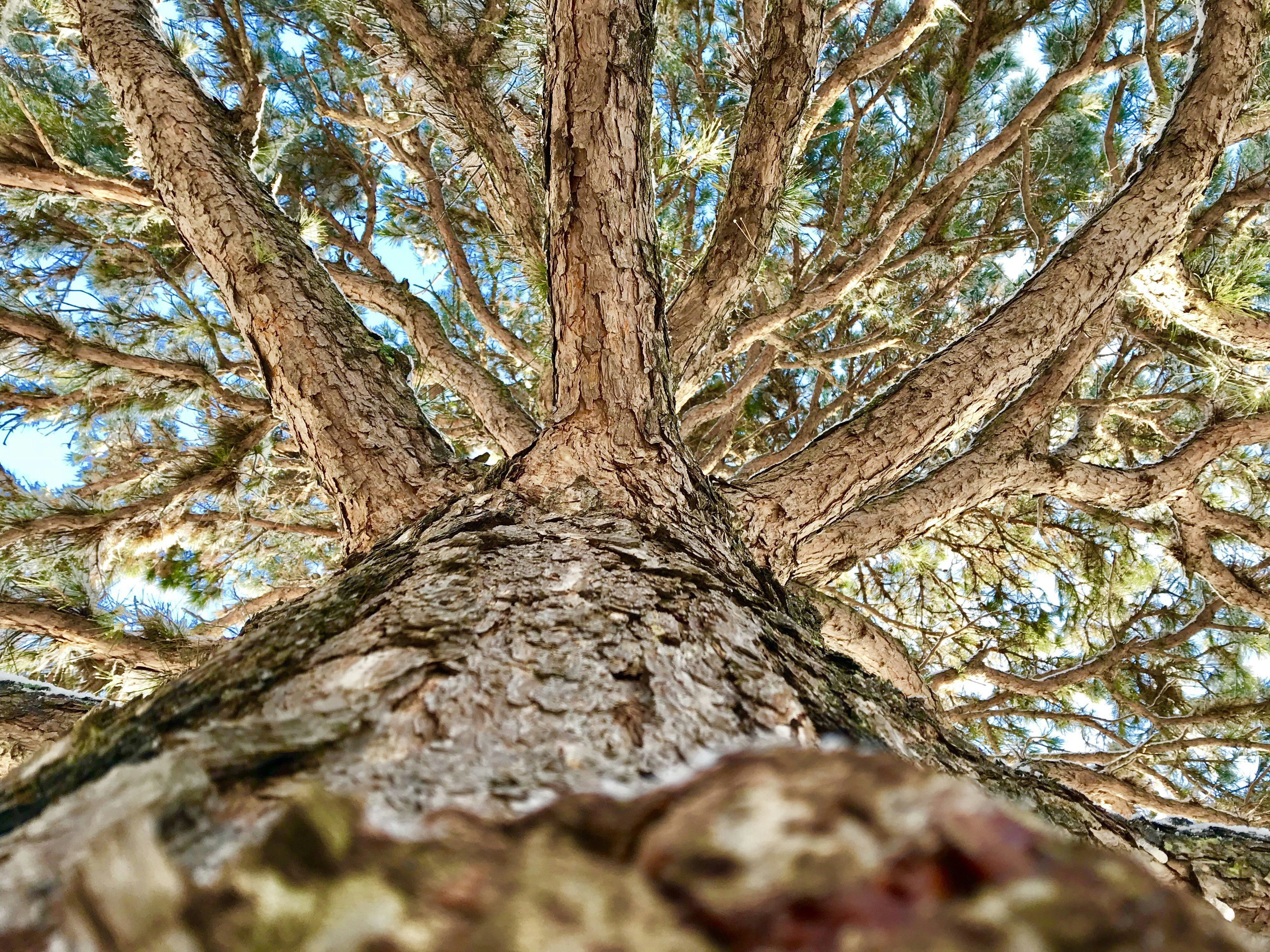 Photo by alexanderelijah_04