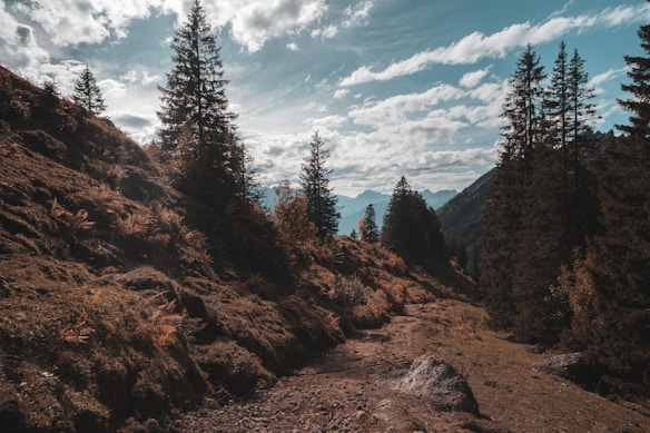 A scenic mountain landscape with a rugged path leading through a forest of tall evergreen trees. The sky is partly cloudy, with shafts of sunlight illuminating the path and casting intricate shadows on the ground. The distant mountain peaks are visible on the horizon, creating a sense of depth and vastness.
