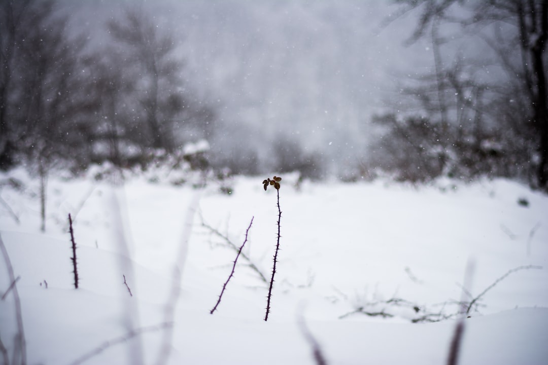 Natural landscape photo spot Quba Agsu