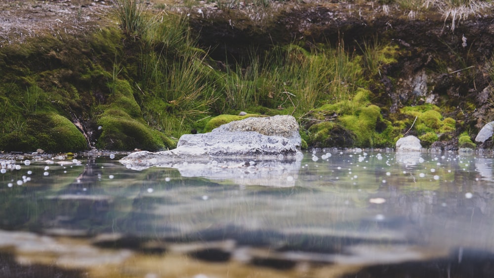 a small pond surrounded by rocks and grass