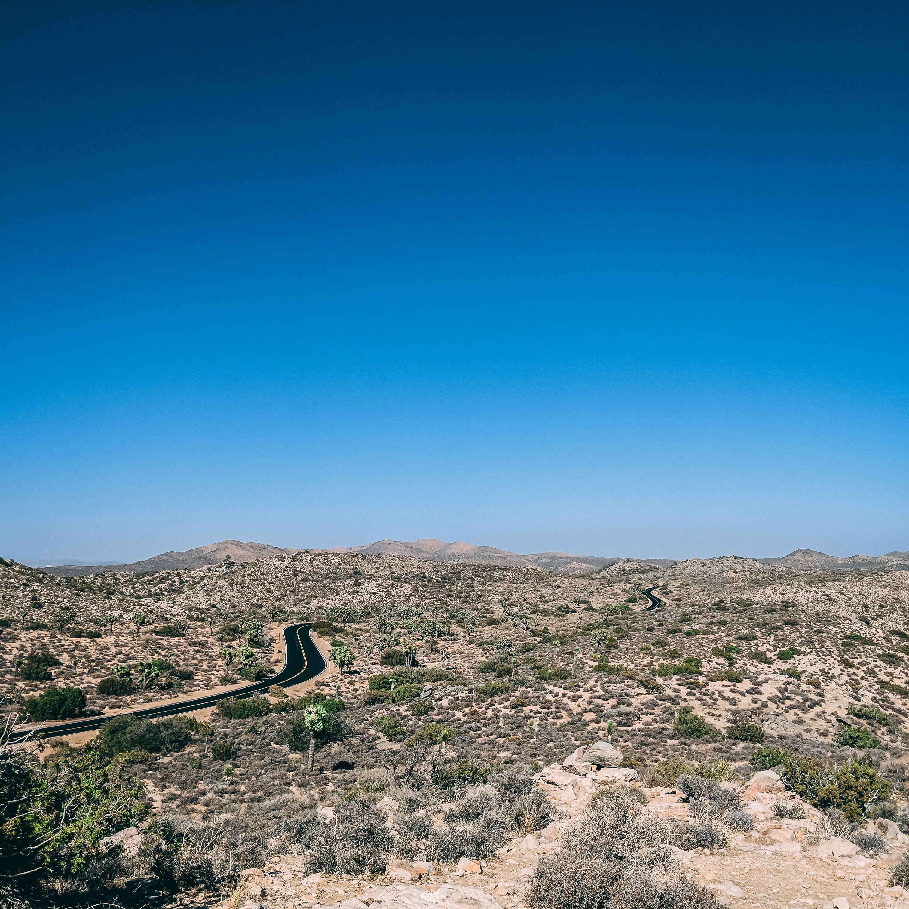 Lost in Joshua Tree National Park