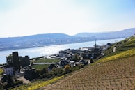 A scenic shot of local wineries and boutiques just minutes away from the hunting grounds.