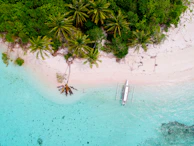 An outrigger boat anchored beside a pristine white sand beach with palm trees swaying in the breeze.