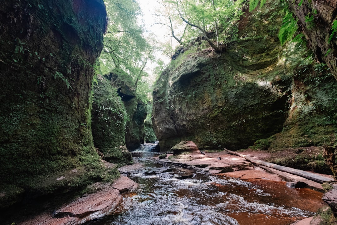 Jungle photo spot Scotland United Kingdom