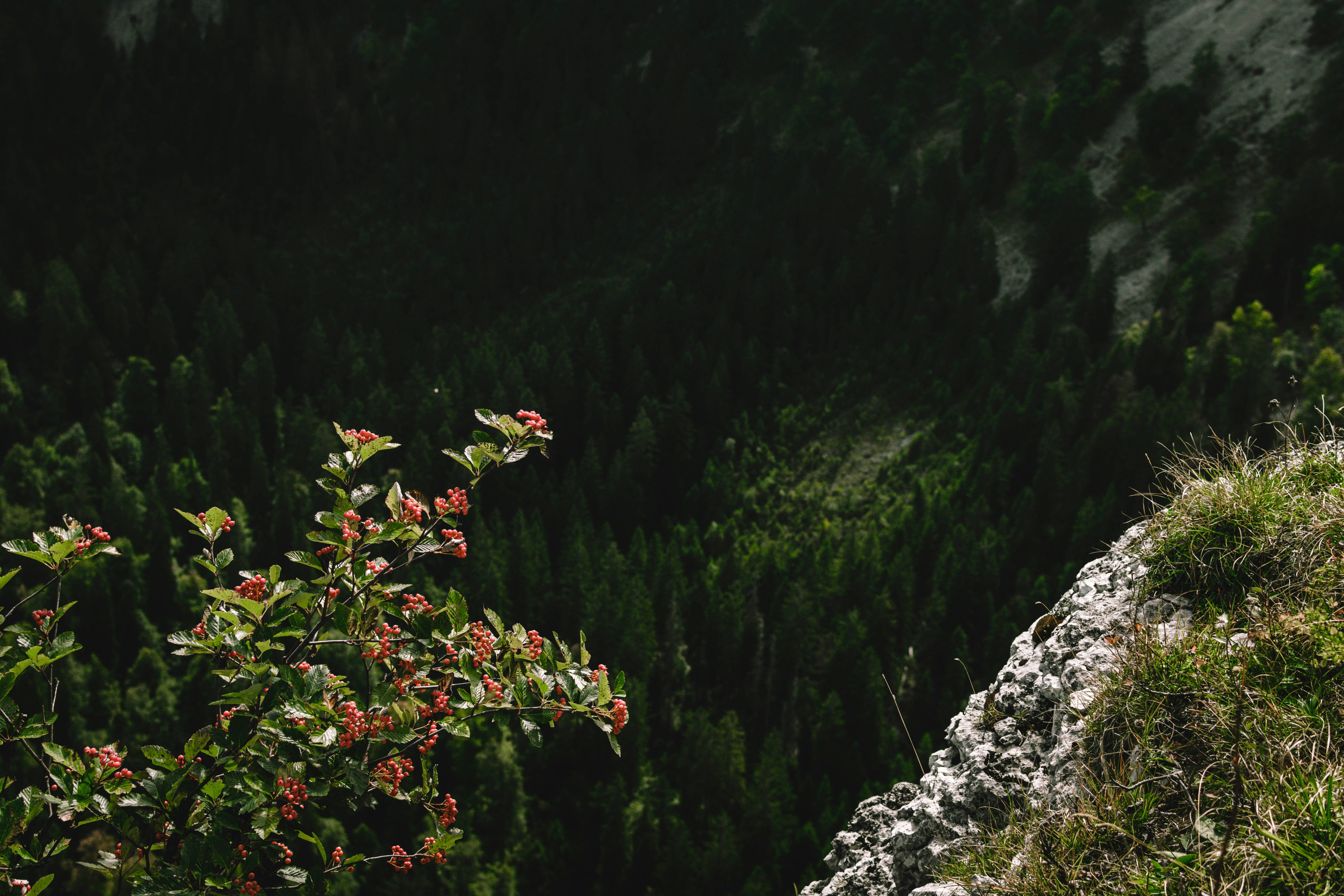 Photo by virussinside