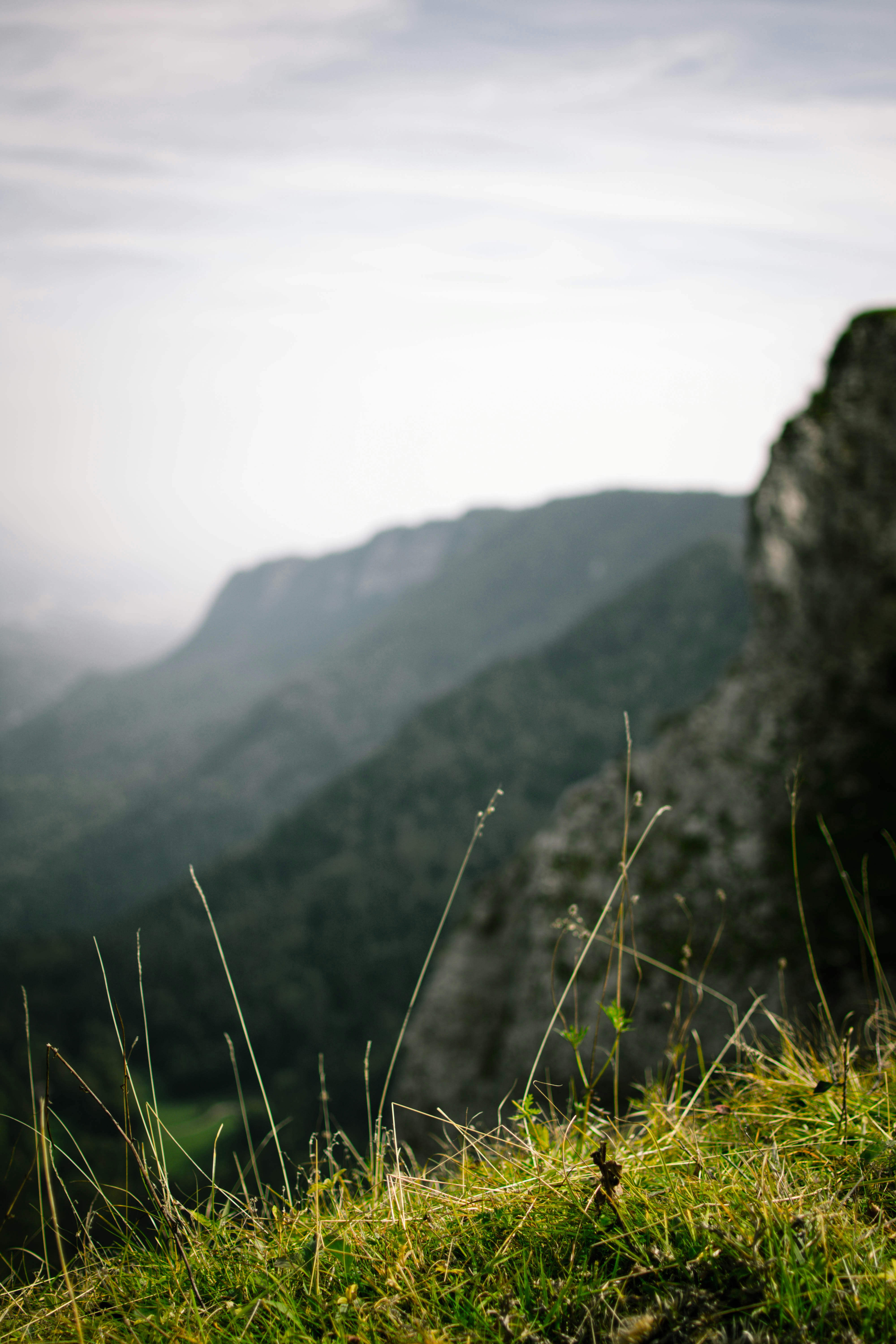 Photo by virussinside