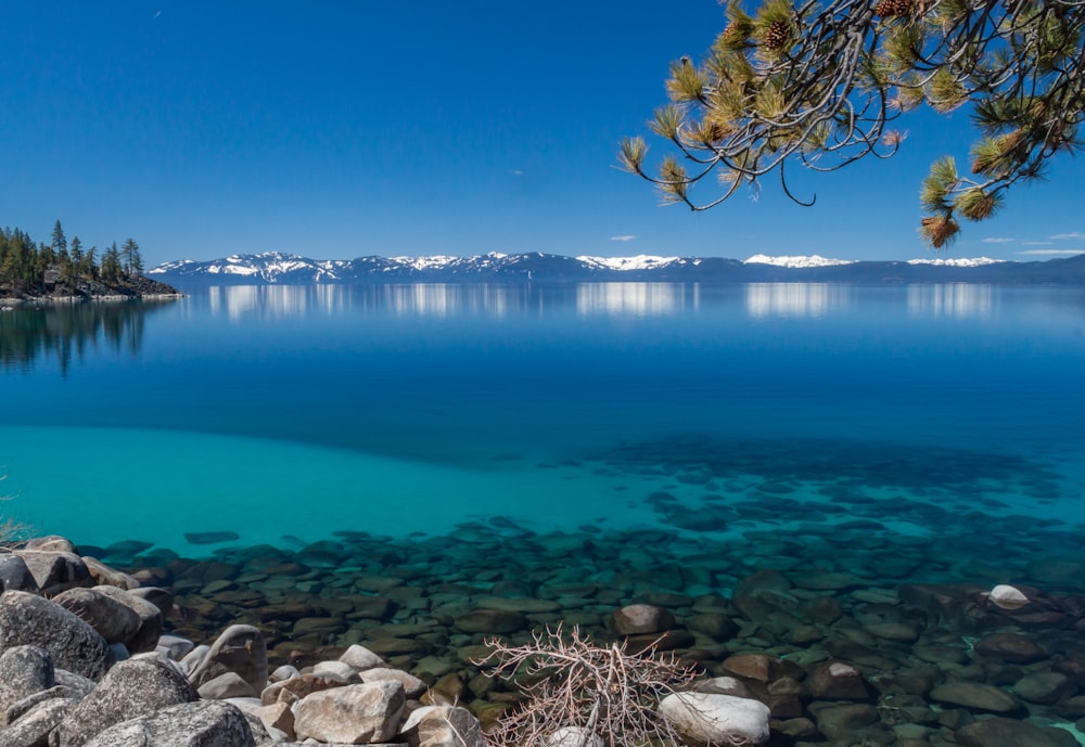 still waters overlooking snow-covered mountains during day