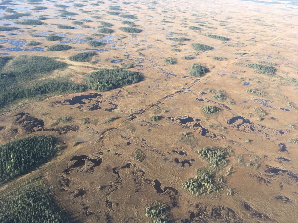 aerial photography of land mass during daytime