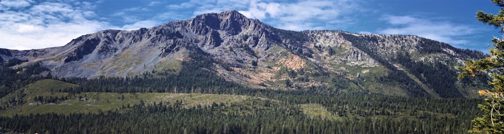 a view of a mountain with a forest below