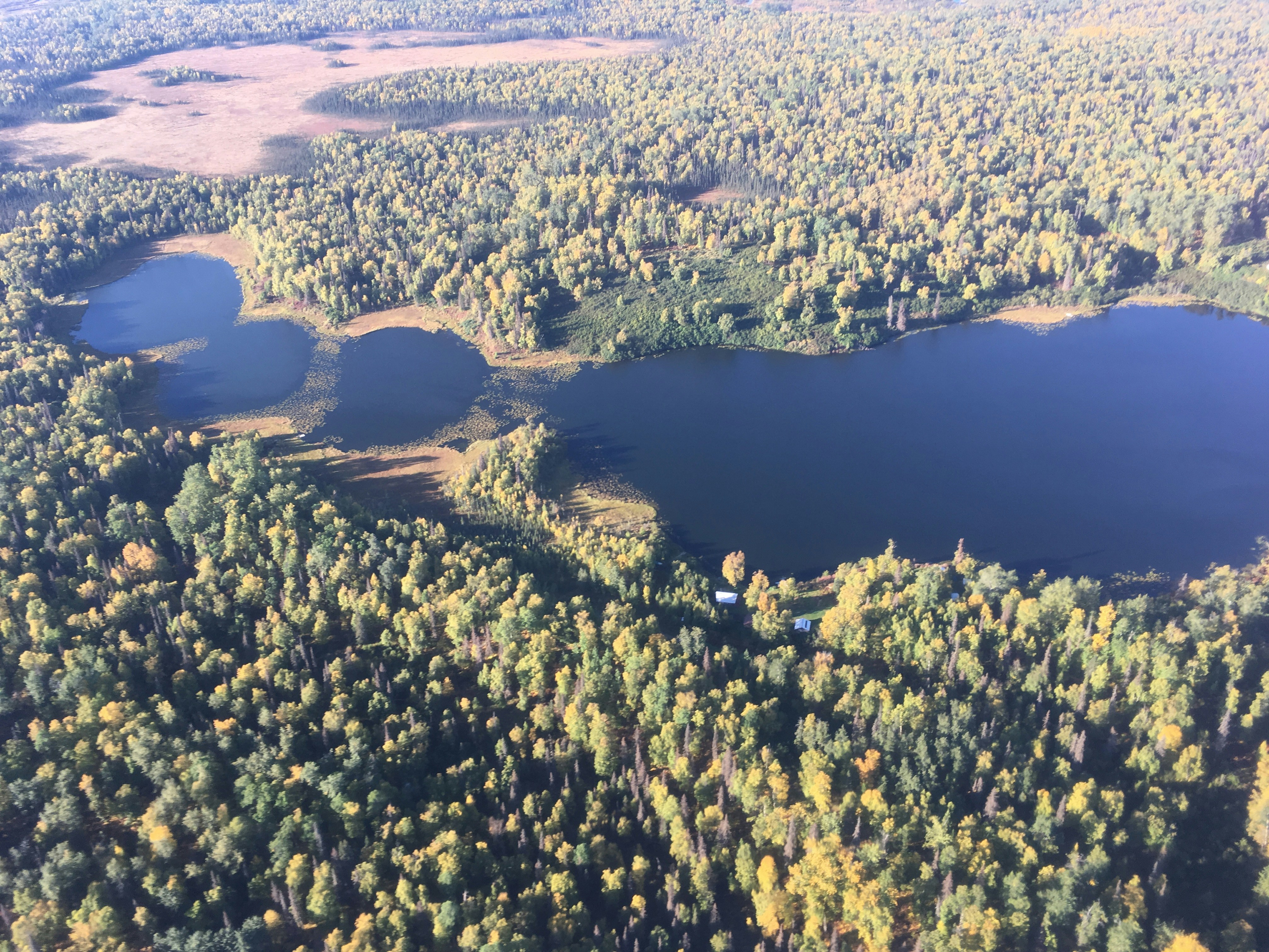 Exploring the 10 Largest Forests in the World