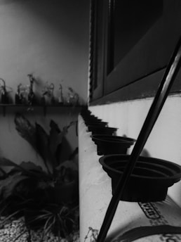A monochrome image featuring a row of small, empty black pots connected by a pipe. The image is taken at an angle, emphasizing the perspective and leading the eye towards a collection of plants in the background. The setup appears to be part of a hydroponic system placed indoors or in a greenhouse setting. The shadows and stark contrast create a dramatic effect.