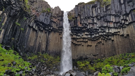 waterfalls during daytime in Svartifoss Iceland