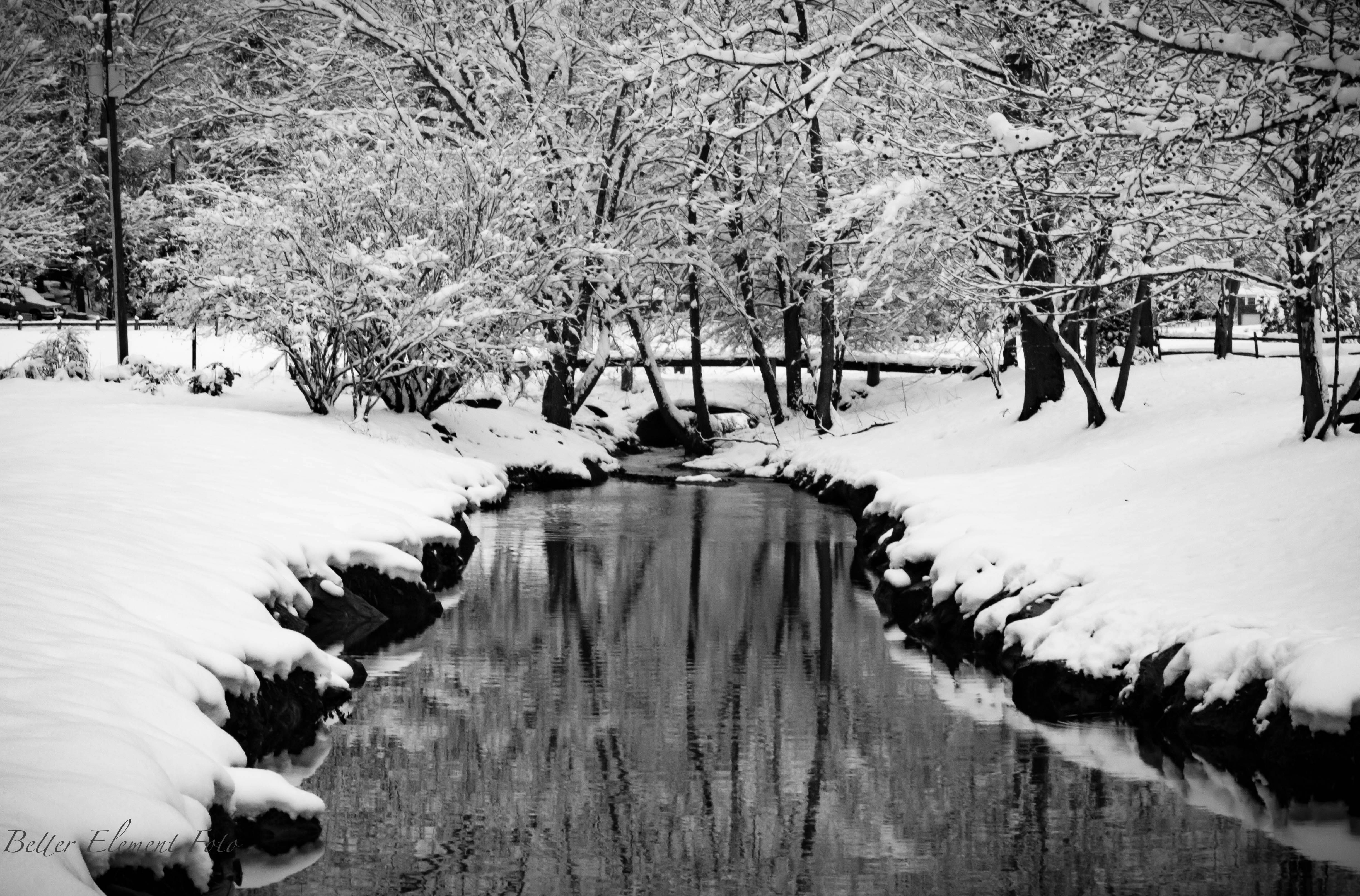 Photo by bdellison9711