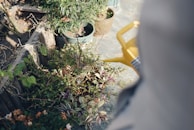Emma watering plants in a colorful garden corner.